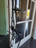 Hoofdstel met gecombineerde neusriem, Dieren en Toebehoren, Paarden en Pony's | Hoofdstellen en Tuigage, Ophalen of Verzenden