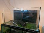 Aquarium inclusief benodigdheden, Dieren en Toebehoren, Ophalen, Leeg aquarium