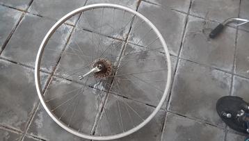 Voorwiel met trommelrem, Van Schothorst - roestvrij staal beschikbaar voor biedingen