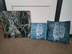 Schilderijtjes en kussens van o.a. een uil, Ophalen of Verzenden, Zo goed als nieuw, Schilderij, Minder dan 50 cm