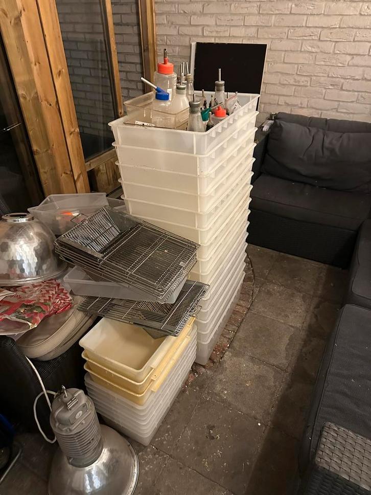 Te koop verschillende t4 en t3 labbakken, Dieren en Toebehoren, Reptielen en Amfibieën | Toebehoren, Zo goed als nieuw, Ophalen