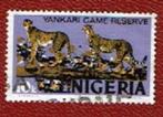 Fauna - Katachtigen - Nigeria - 279- II-y - Panters - gebr, Ophalen of Verzenden, Gestempeld, Dier of Natuur