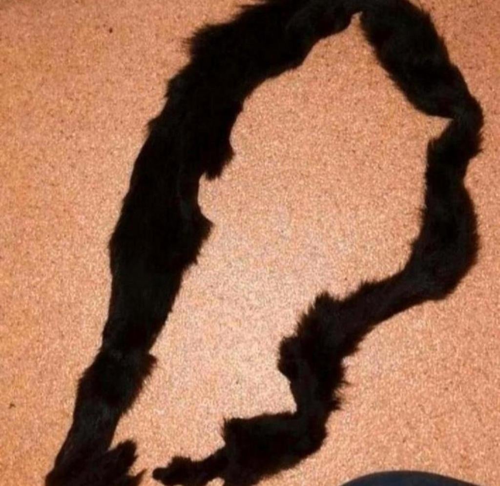 Bruine bont sjaal / stola, Geen merk, Ophalen of Verzenden, Zo goed als nieuw