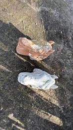 Stenen paardenhoofd 2x - Gevel/Poortdecoratie, Ophalen, Gebruikt, Steen, Dierenbeeld