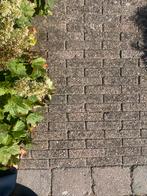 Gebruikte klinkers van 20x5 cm. rose/grijs gemêleerd., Tuin en Terras, Tegels en Klinkers, Ophalen, Gebruikt, Klinkers, 10 m² of meer