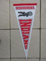 Amerikaanse Indians vaan vlag, Ophalen of Verzenden, Gebruikt