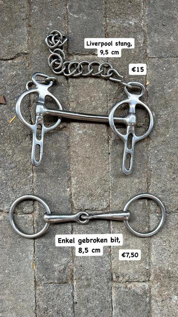 Shetlander bit enkel gebroken, liverpool beschikbaar voor biedingen