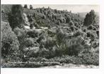 Nijverdal - Heuvels op de Nijverdalseberg [KRST005-2214, Verzamelen, Ansichtkaarten | Nederland, Verzenden, 1960 tot 1980, Gelopen