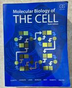Molecular Biology of The Cell, sixth edition (Alberts), Ophalen of Verzenden, Beta, Zo goed als nieuw, WO