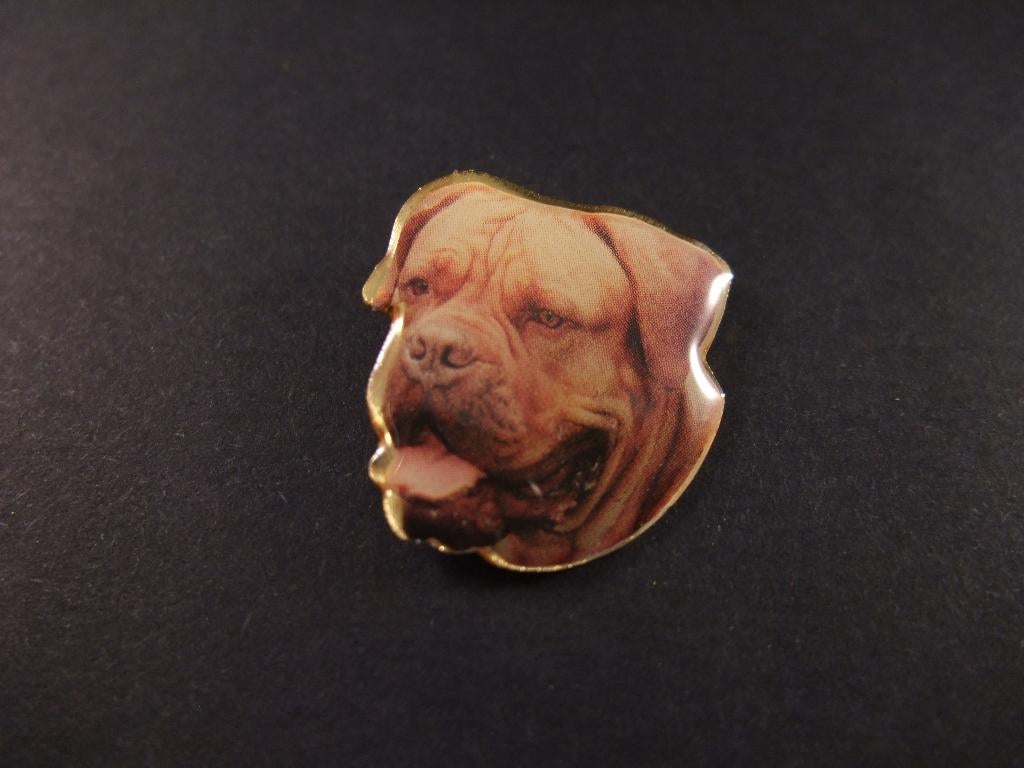 Bordeaux Dog, waak- en beschermhond, pin, Ophalen of Verzenden, Gebruikt, Overige onderwerpen