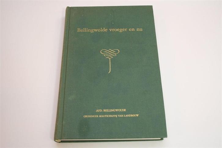 Bellingwolde Vroeger & Nu [Deel 1] — Rijk Geïllustreerd, Boeken, Geschiedenis | Stad en Regio, Gelezen, Ophalen of Verzenden