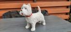 Beeld westy west highland white terrier  rasin kunststof, Ophalen of Verzenden, Zo goed als nieuw, Dier