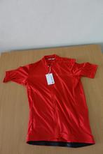 Castelli Classifica Jersey L, Ophalen of Verzenden, Nieuw, Kleding