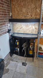 Juwel Aquarium, Dieren en Toebehoren, Vissen | Aquaria en Toebehoren, Ophalen, Gebruikt, Leeg aquarium
