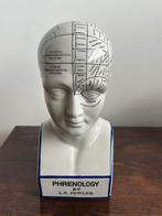 Nieuw Eyecatcher Porseleinen Phrenology Hoofd hoogte 30,4 cm, Ophalen, Nieuw