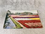 Hillegom.    Reclamekaart A. J. Van Engelen N.V.  1951, Verzamelen, Ansichtkaarten | Nederland, Ophalen of Verzenden, 1940 tot 1960
