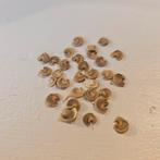 Stokroos,holly hock,allerlei kuhleure, Verzenden, Volle zon