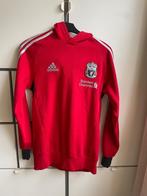 Adidas Liverpool hoodie, Maat S, Ophalen of Verzenden, Shirt