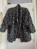 Grijze teddy winter jas van Astraka maat L, Kleding | Dames, Maat 42/44 (L), Ophalen of Verzenden, Zo goed als nieuw, Grijs