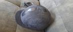 Harry's horse cap 54-56, Ophalen of Verzenden, Zo goed als nieuw, Dressuur