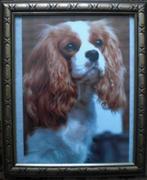 CAVALIER KING CHARLES SPANIËL * FOTO KAART in Lijst *, Verzenden, Nieuw, Hond of Kat, Overige typen