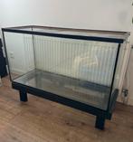 Hamster terrarium L100 H40, Dieren en Toebehoren, Knaagdieren en Konijnen | Hokken en Kooien, Kooi, Gebruikt, Hamster, 75 tot 110 cm