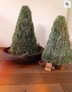 Nieuwe kunst nobilis boompjes 42 cm, Ophalen of Verzenden, Nieuw