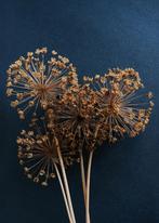 Canvas schilderij bloem groot, Ophalen, Zo goed als nieuw, Print