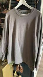 Sweater merk is Zara maat M, Ophalen, Zo goed als nieuw, Maat 38/40 (M)