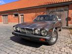 Jaguar XJ6 4,2, 1985, Gebruikt, Overige carrosserieën, XJ, Bedrijf