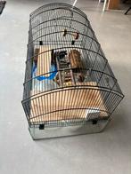 Hamsterkooi te koop, Ophalen, Minder dan 75 cm, Kooi, Minder dan 60 cm