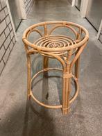 Rieten Standaard voor Planten, Huis en Inrichting, Kamerplanten, Overige soorten, In pot, Minder dan 100 cm, Groene kamerplant