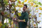 Tuinman / hovenier voor uw tuin ..., Bestrating