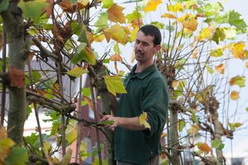 Tuinman / hovenier voor uw tuin ... beschikbaar voor biedingen