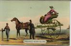PAARD met chase litho Noord-Holland TULP kaart TOP 1619, Verzenden, Voor 1920, Ongelopen, Paard