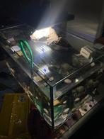 aquarium, Dieren en Toebehoren, Vissen | Aquaria en Toebehoren, Ophalen of Verzenden