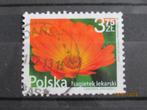 POSTZEGEL  POLEN 2009 - BLOEMEN   =923-A=, Postzegels en Munten, Postzegels | Europa | Overig, Ophalen of Verzenden, Polen, Gestempeld