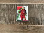 Panini voetbalplaatje Ronaldo, Verzamelen, Sportartikelen en Voetbal, Ophalen of Verzenden, Poster, Plaatje of Sticker, Buitenlandse clubs