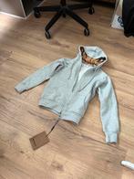 Burberry vest XS/S, Kleding | Heren, Nieuw, Ophalen of Verzenden, Grijs, Burberry