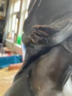 Bronzen buste Jef Lambeaux, Antiek en Kunst, Ophalen