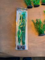 Biorb planten, Ophalen of Verzenden, Plant(en), Steen of Hout