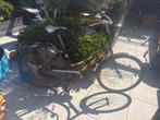 Oma fiets (Cumberland), Fietsen en Brommers, Fietsen | Driewielfietsen, Ophalen, Gebruikt, Cumberland