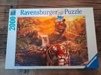 Ravensburger puzzel 2000 stuks nieuw - tijgers, Ophalen, Meer dan 1500 stukjes, Nieuw