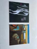 Vintage Kalenders 2004 - Dali & Naakt, Ophalen of Verzenden, Zo goed als nieuw