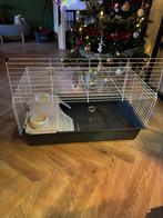 Caviahok, Dieren en Toebehoren, Minder dan 60 cm, Gebruikt, Ophalen of Verzenden, Hok