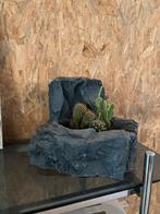 Prachtige plantenbak 30x26x23cm, Ophalen of Verzenden, Cactus, Minder dan 100 cm