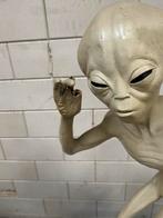 Alien Beeld - Uniek Decoratie Stuk, Antiek en Kunst, Ophalen of Verzenden