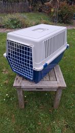 Bench voor kat-hond-konijn + 2 kattenbakken, Dieren en Toebehoren, Gebruikt, Minder dan 75 cm, Konijn, Reiskooi of Transportbox