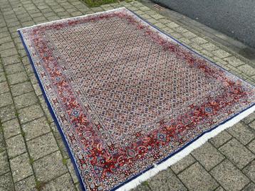 Mooi handgeknoopt Perzisch Oosterse tapijt Moud 3.02x2.05 beschikbaar voor biedingen