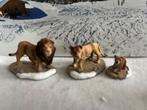 Luville:  Lions,  set of 3, Ophalen of Verzenden